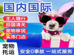 攀枝花空运国际宠物托运 【国