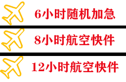 攀枝花空运快递公司,专业空运当天件